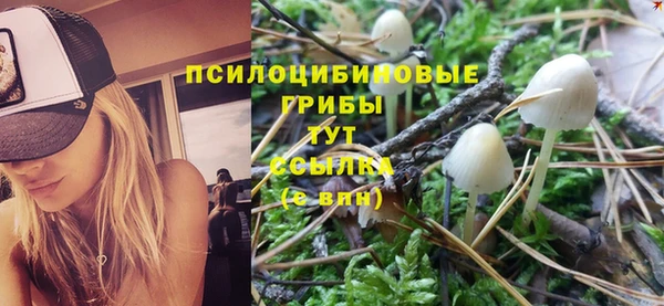 шишки Зеленокумск