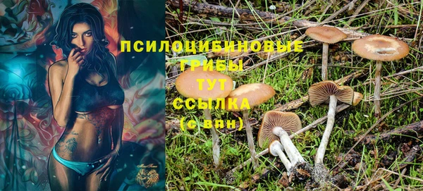 ALPHA PVP Зерноград