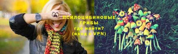 ALPHA PVP Зерноград