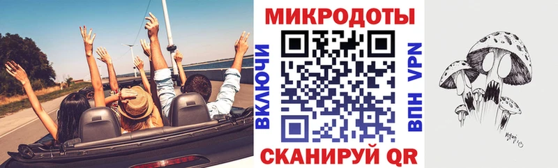 Купить закладки  Ершов  Галлюциногенные грибы мицелий 